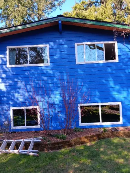 Four new windows stacked on a dark blue two-story house with a ladder still in the yard