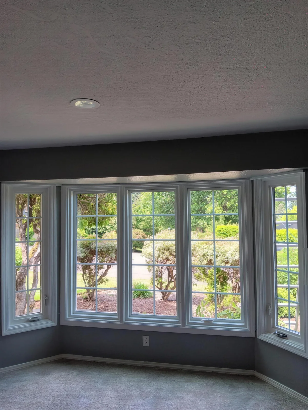 White-trimmed windows around the corner of an empty room with a gray carpet