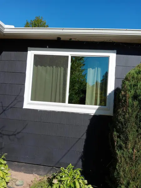White-framed sliding window on a dark-painted house under a clear blue sky, beside a tall evergreen shrub