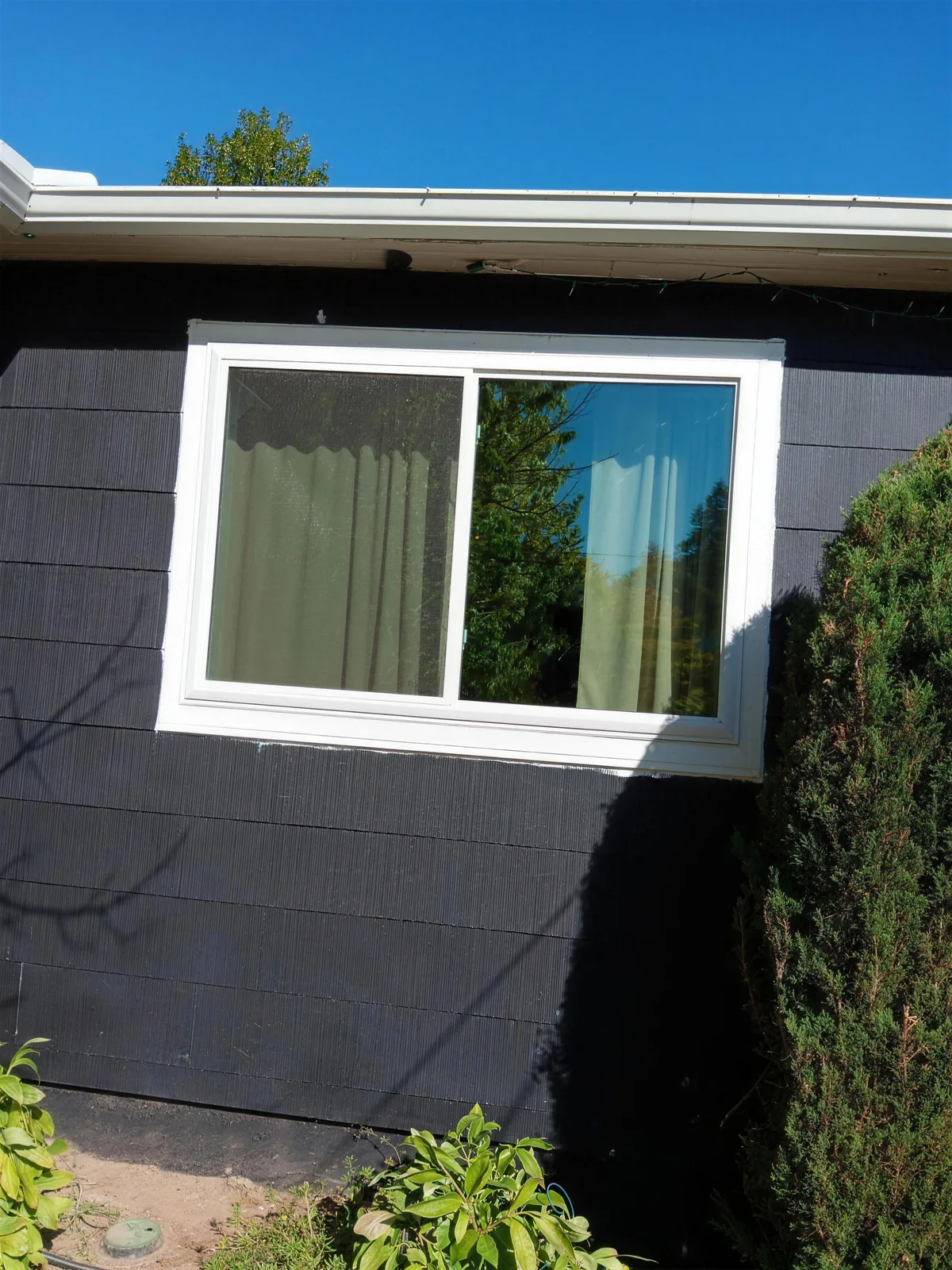 White-framed sliding window on a dark-painted house under a clear blue sky, beside a tall evergreen shrub