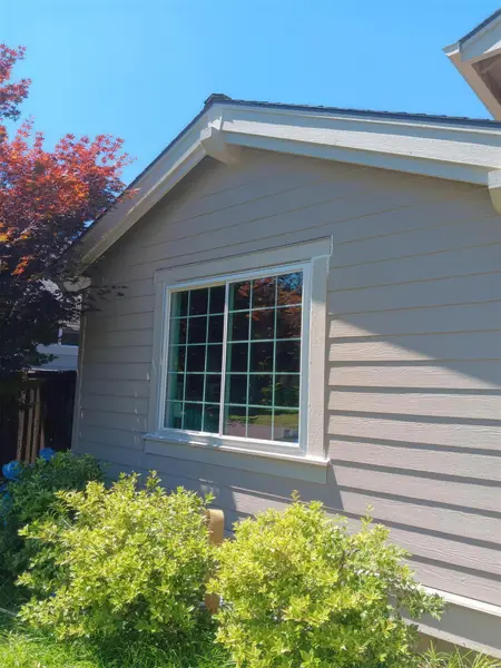 Gridded white window on a light-sided home surrounded by green shrubs under a blue sky