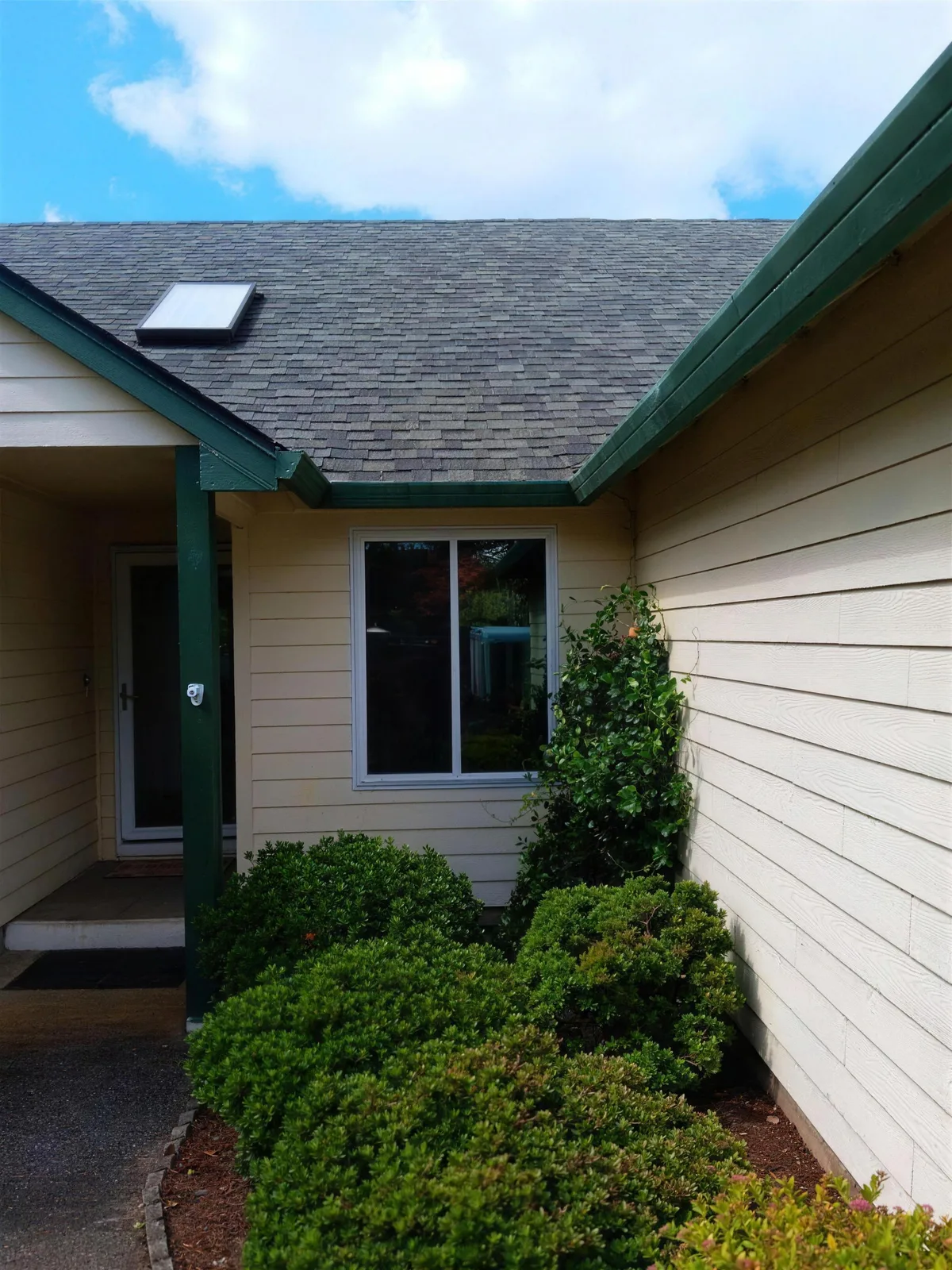 Front entry of a cream lap-siding house with green trim, a white-framed window beside the door, a skylight on the roof and trimmed shrubs under a blue sky