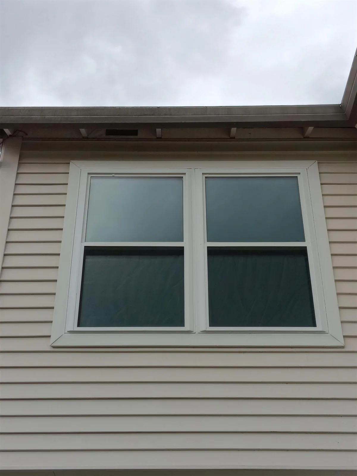 Pair of white two-sash windows with wide trim on tan lap siding under a gray sky