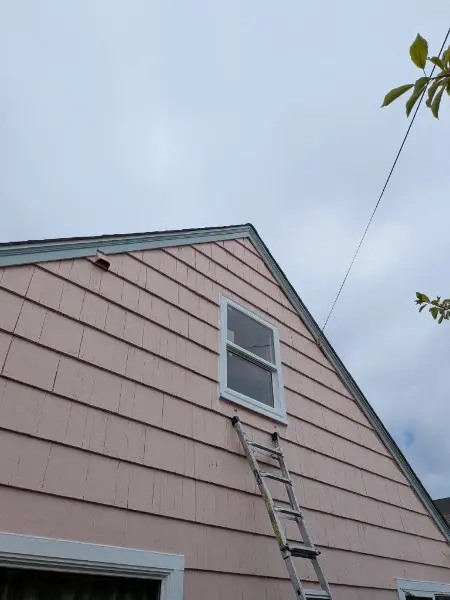 Ladder up to a new gable window on a pink shake house